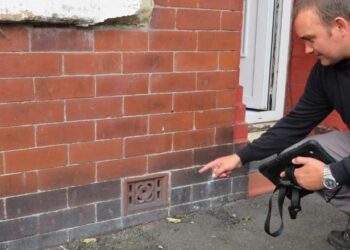 Why You Need Damp Proofing Experts for a Healthier Home